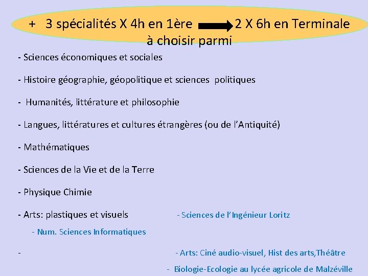 + 3 spécialités X 4 h en 1ère 2 X 6 h en Terminale