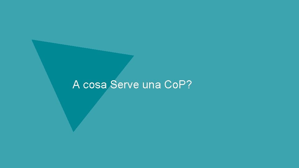 A cosa Serve una Co. P? 