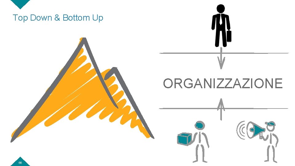 Top Down & Bottom Up ORGANIZZAZIONE 66 