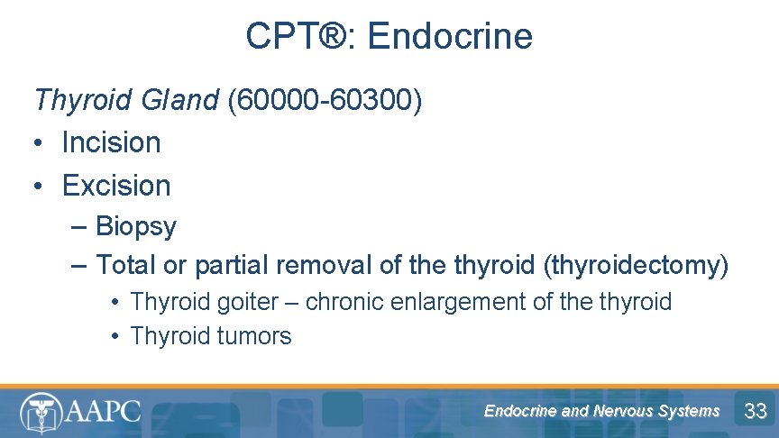 CPT®: Endocrine Thyroid Gland (60000 -60300) • Incision • Excision – Biopsy – Total