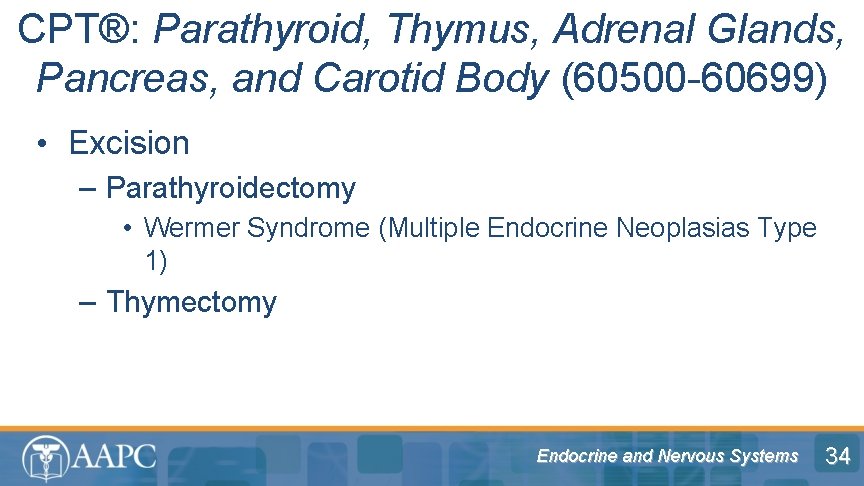 CPT®: Parathyroid, Thymus, Adrenal Glands, Pancreas, and Carotid Body (60500 -60699) • Excision –