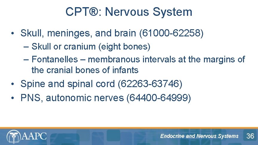 CPT®: Nervous System • Skull, meninges, and brain (61000 -62258) – Skull or cranium