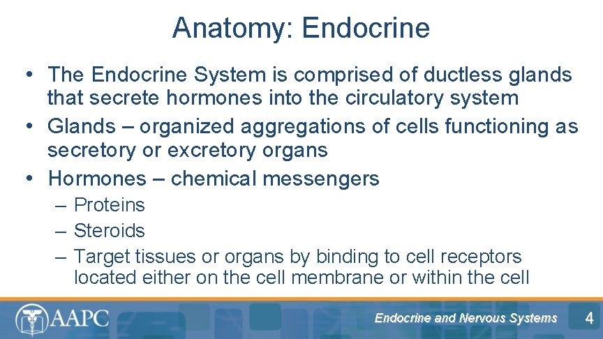 Anatomy: Endocrine • The Endocrine System is comprised of ductless glands that secrete hormones