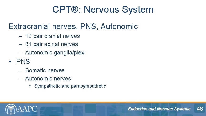 CPT®: Nervous System Extracranial nerves, PNS, Autonomic – 12 pair cranial nerves – 31