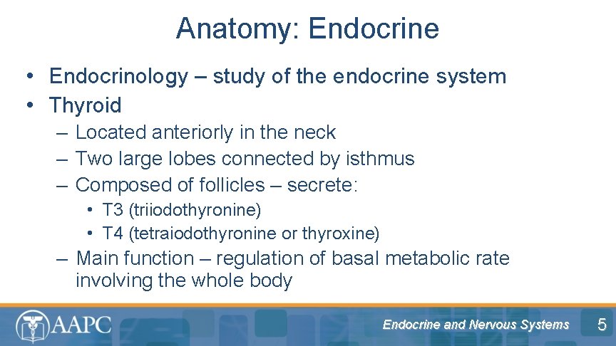 Anatomy: Endocrine • Endocrinology – study of the endocrine system • Thyroid – Located