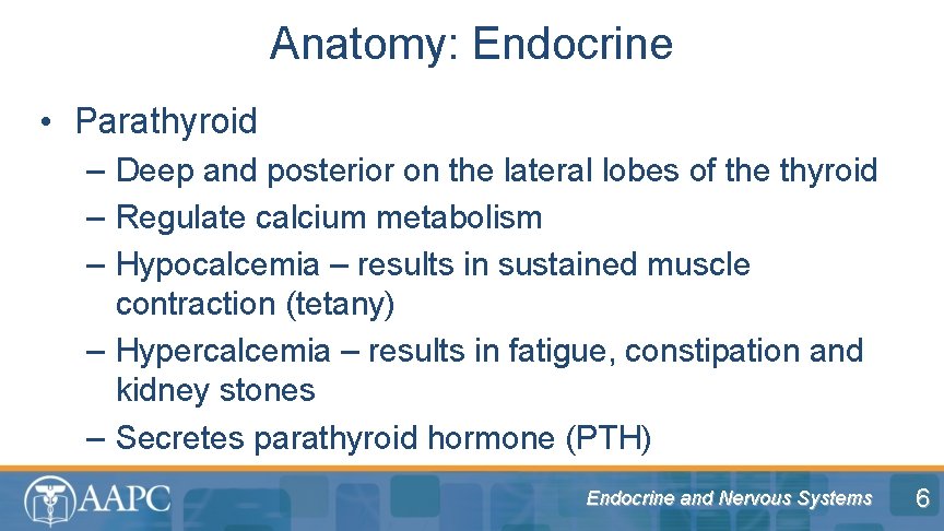 Anatomy: Endocrine • Parathyroid – Deep and posterior on the lateral lobes of the