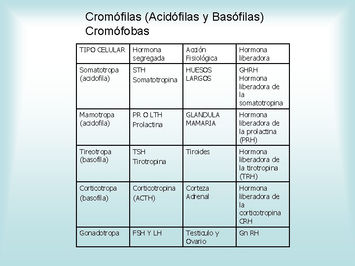 Cromófilas (Acidófilas y Basófilas) Cromófobas TIPO CELULAR Hormona segregada Acción Fisiológica Hormona liberadora Somatotropa