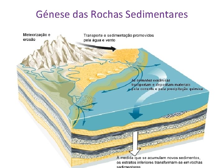 Génese das Rochas Sedimentares 
