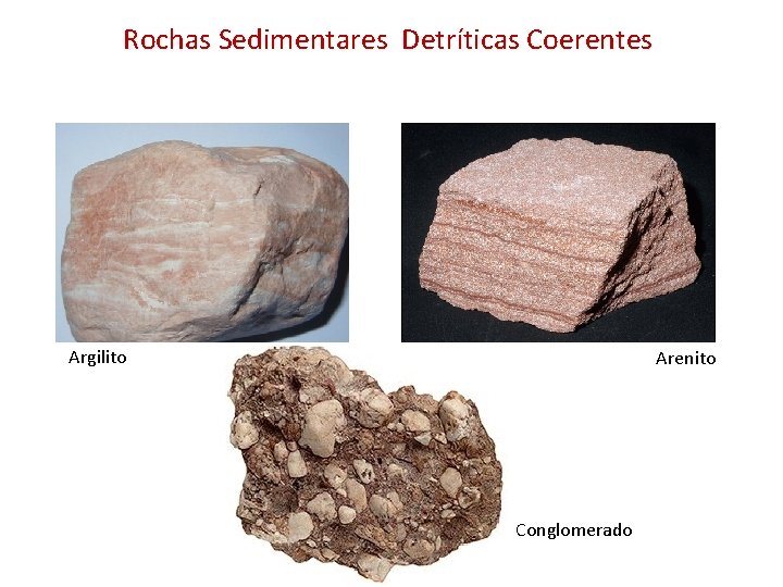 Rochas Sedimentares Detríticas Coerentes Argilito Arenito Conglomerado 