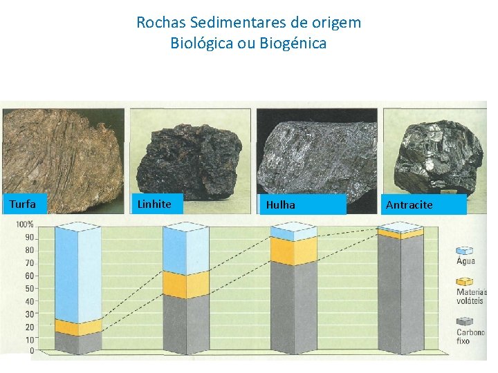 Rochas Sedimentares de origem Biológica ou Biogénica Turfa Linhite Hulha Antracite 