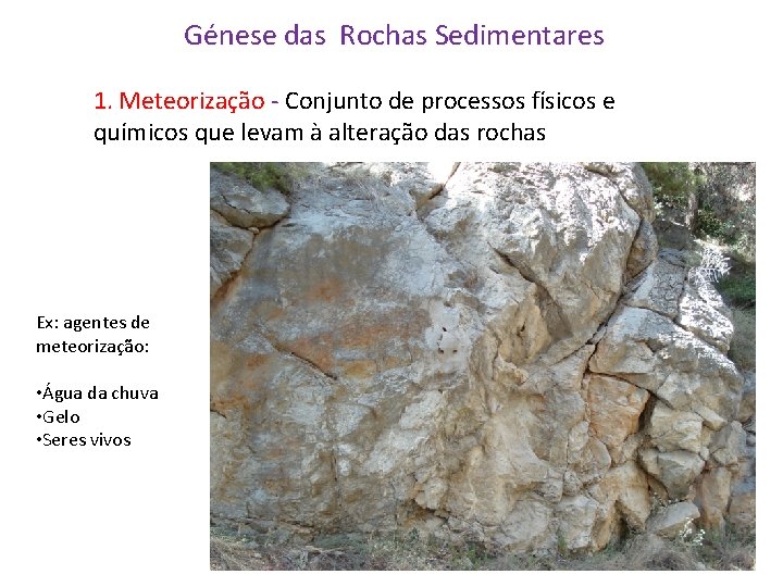 Génese das Rochas Sedimentares 1. Meteorização - Conjunto de processos físicos e químicos que