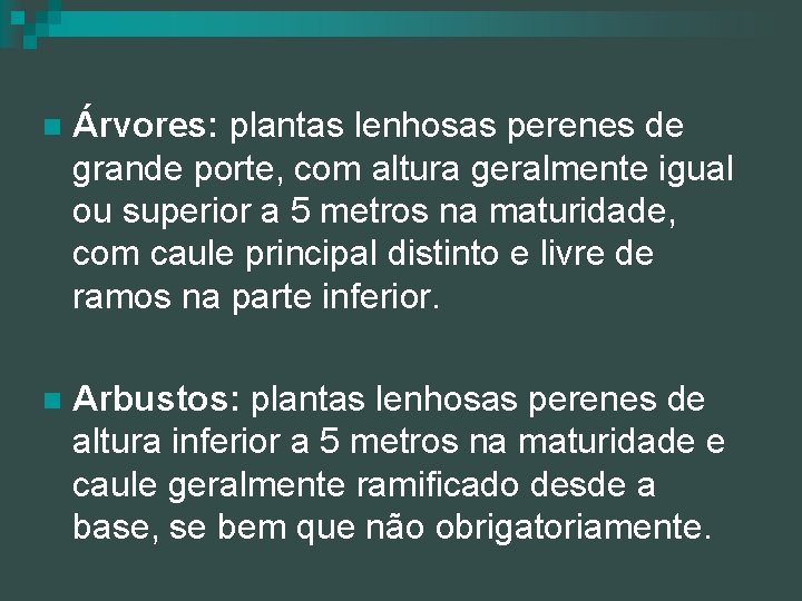 n Árvores: plantas lenhosas perenes de grande porte, com altura geralmente igual ou superior