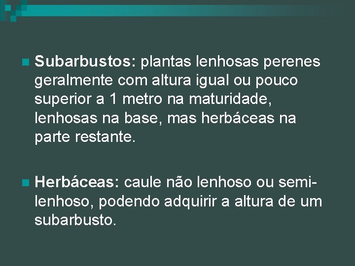 n Subarbustos: plantas lenhosas perenes geralmente com altura igual ou pouco superior a 1