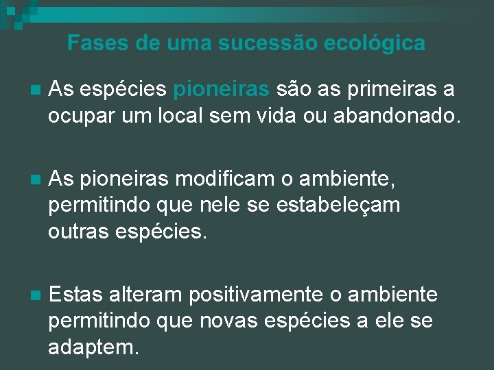 n As espécies pioneiras são as primeiras a ocupar um local sem vida ou