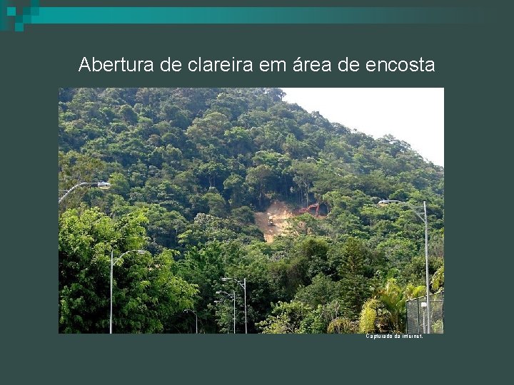 Abertura de clareira em área de encosta Capturado da internet. 