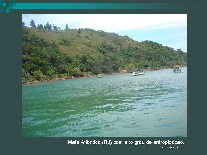 Mata Atlântica (RJ) com alto grau de antropização. Foto: Carlayle Brito 