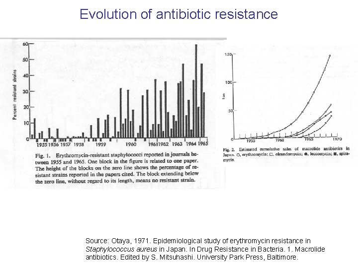 Evolution of antibiotic resistance Source: Otaya, 1971. Epidemiological study of erythromycin resistance in Staphylococcus