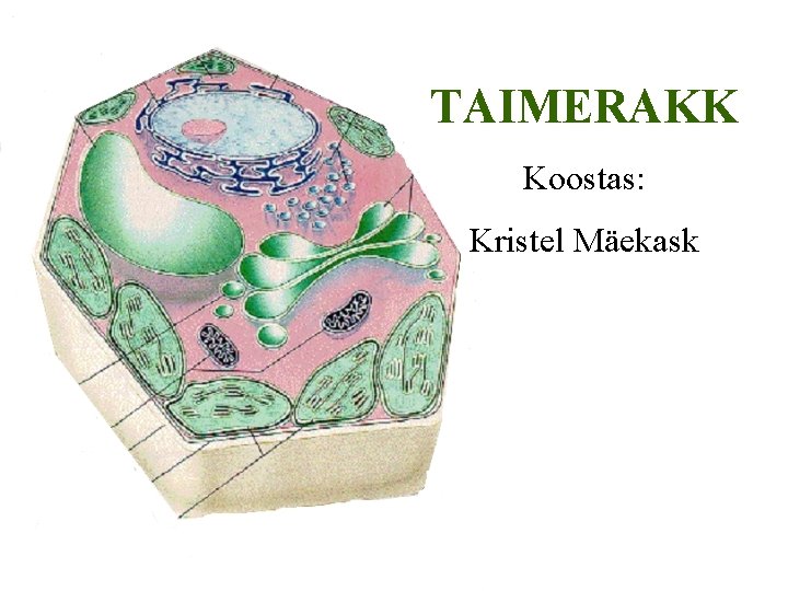 TAIMERAKK Koostas: Kristel Mäekask 