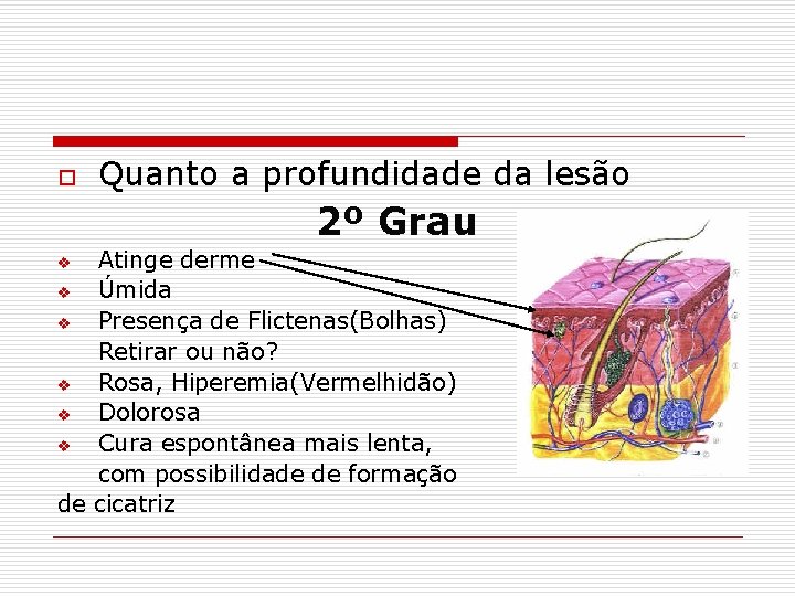 o Quanto a profundidade da lesão 2º Grau Atinge derme v Úmida v Presença