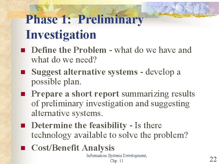 Phase 1: Preliminary Investigation n n Define the Problem - what do we have