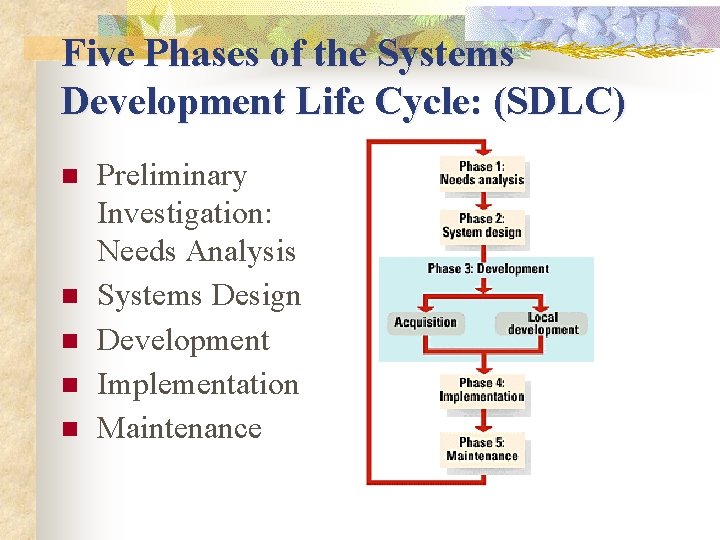 Five Phases of the Systems Development Life Cycle: (SDLC) n n n Preliminary Investigation: