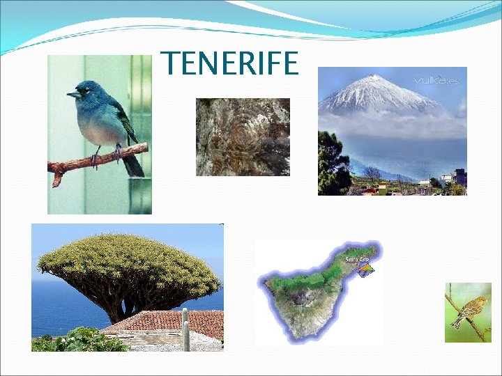 TENERIFE 