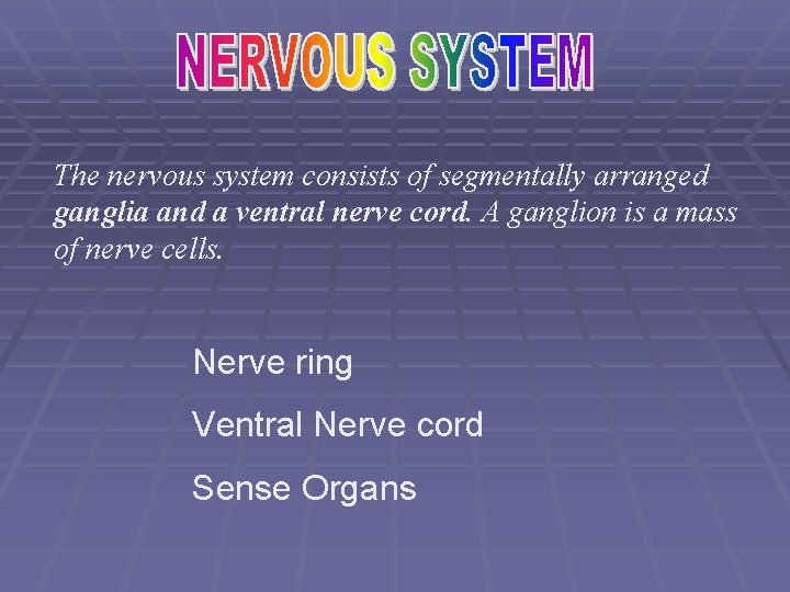 The nervous system consists of segmentally arranged ganglia and a ventral nerve cord. A