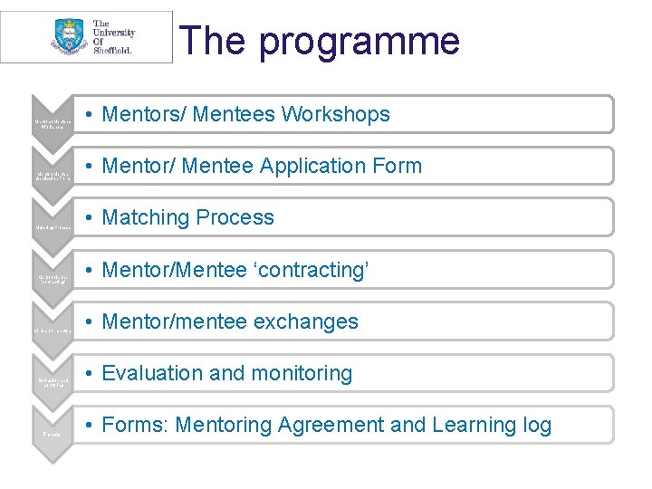 The programme Mentors/ Mentees Workshops Mentor/ Mentee Application Form Matching Process Mentor/Mentee ‘contracting’ Circles