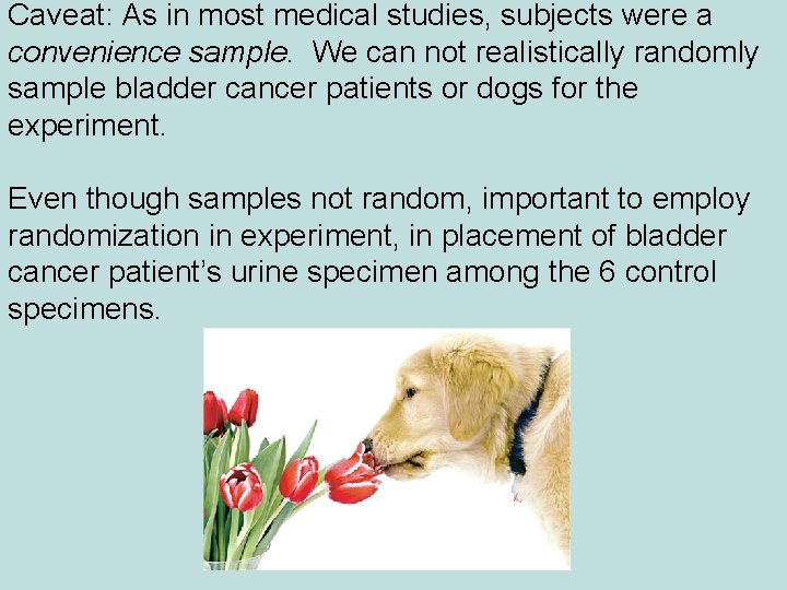 Caveat: As in most medical studies, subjects were a convenience sample. We can not