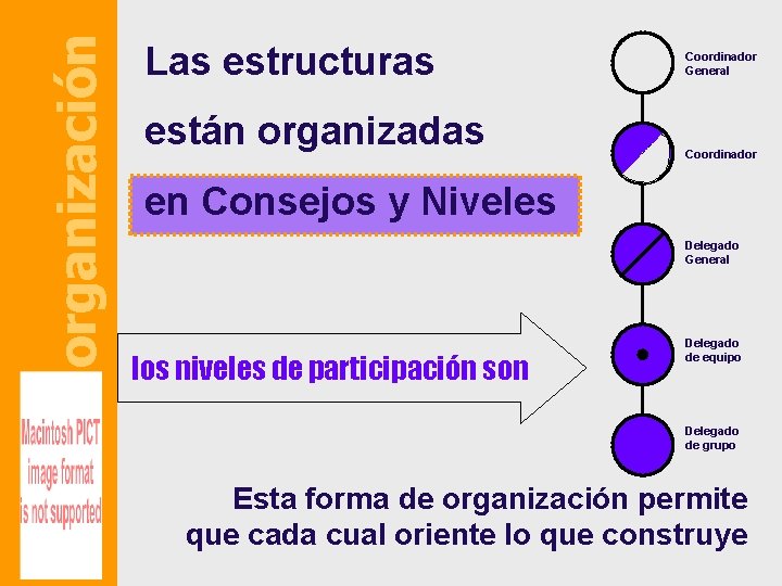 organización Las estructuras están organizadas Coordinador General Coordinador en Consejos y Niveles Delegado General