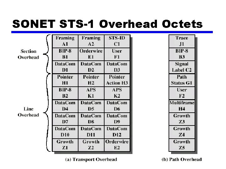 SONET STS-1 Overhead Octets 