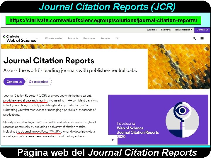 Journal Citation Reports (JCR) https: //clarivate. com/webofsciencegroup/solutions/journal-citation-reports/ Página web del Journal Citation Reports 