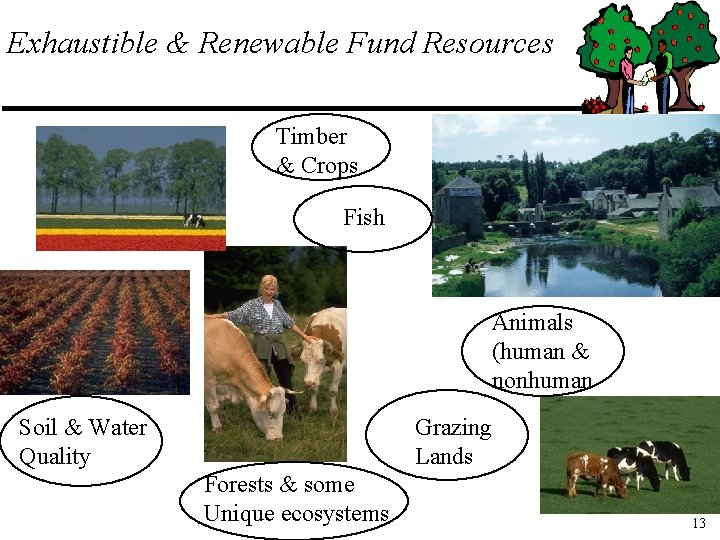 Exhaustible & Renewable Fund Resources Timber & Crops Fish Animals (human & nonhuman Soil