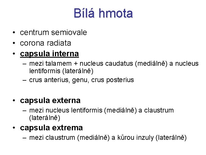 Bílá hmota • centrum semiovale • corona radiata • capsula interna – mezi talamem