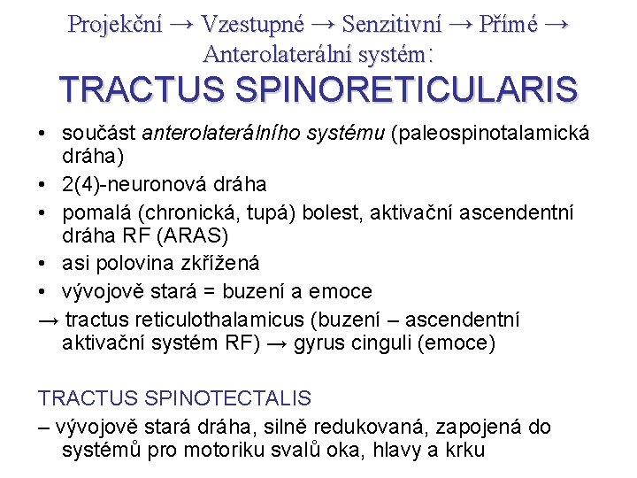 Projekční → Vzestupné → Senzitivní → Přímé → Anterolaterální systém: TRACTUS SPINORETICULARIS • součást