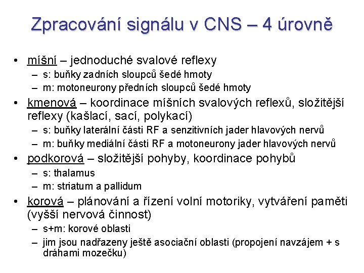 Zpracování signálu v CNS – 4 úrovně • míšní – jednoduché svalové reflexy –