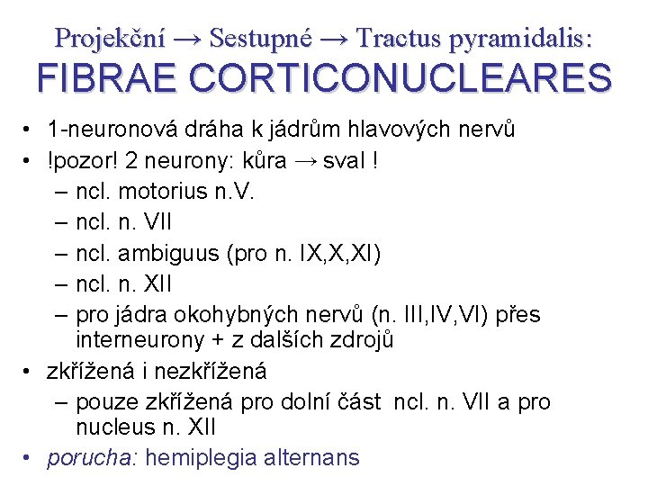 Projekční → Sestupné → Tractus pyramidalis: FIBRAE CORTICONUCLEARES • 1 -neuronová dráha k jádrům