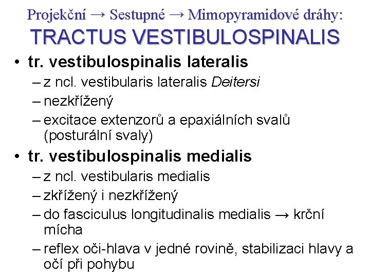 Projekční → Sestupné → Mimopyramidové dráhy: TRACTUS VESTIBULOSPINALIS • tr. vestibulospinalis lateralis – z