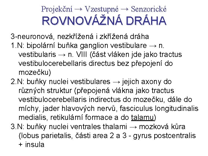 Projekční → Vzestupné → Senzorické ROVNOVÁŽNÁ DRÁHA 3 -neuronová, nezkřížená i zkřížená dráha 1.