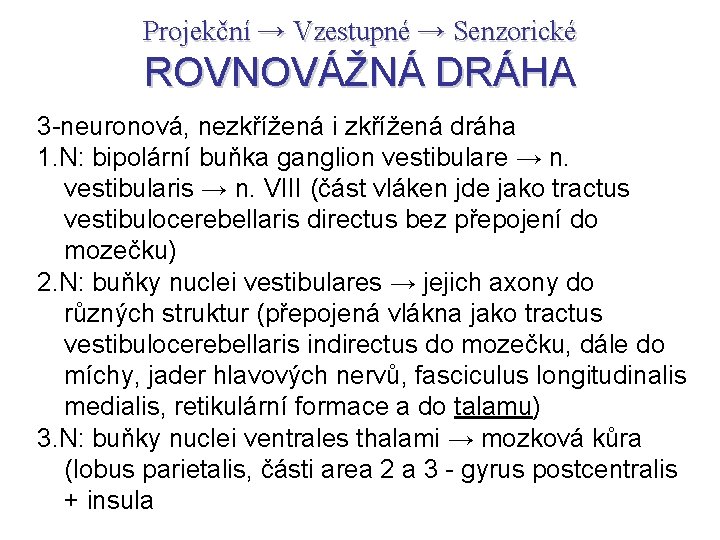 Projekční → Vzestupné → Senzorické ROVNOVÁŽNÁ DRÁHA 3 -neuronová, nezkřížená i zkřížená dráha 1.