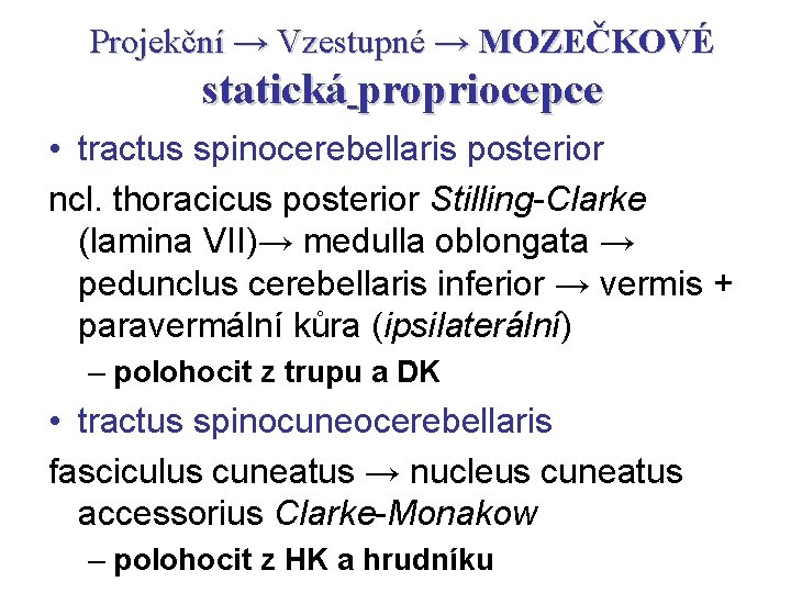 Projekční → Vzestupné → MOZEČKOVÉ statická propriocepce • tractus spinocerebellaris posterior ncl. thoracicus posterior