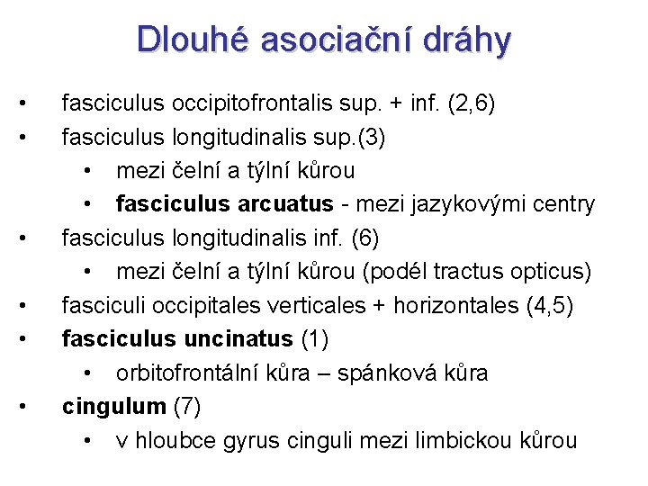 Dlouhé asociační dráhy • • • fasciculus occipitofrontalis sup. + inf. (2, 6) fasciculus