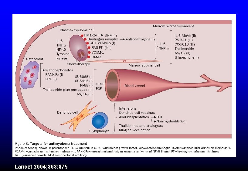 Lancet 2004; 363: 875 