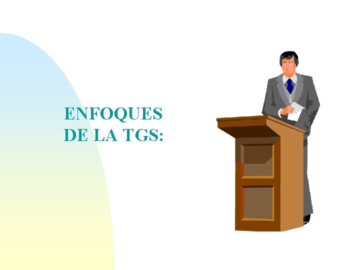 ENFOQUES DE LA TGS: 