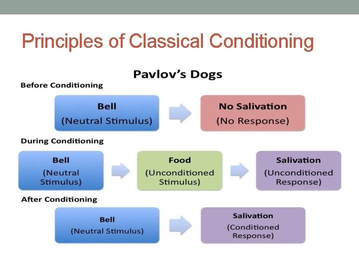 Principles of Classical Conditioning 