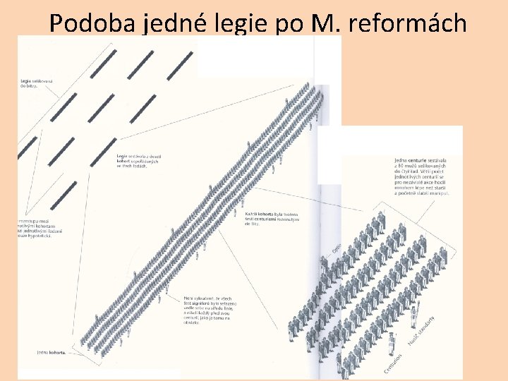 Podoba jedné legie po M. reformách 