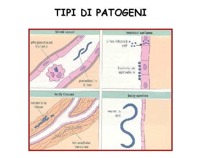 TIPI DI PATOGENI 