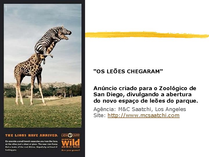  "OS LEÕES CHEGARAM" Anúncio criado para o Zoológico de San Diego, divulgando a