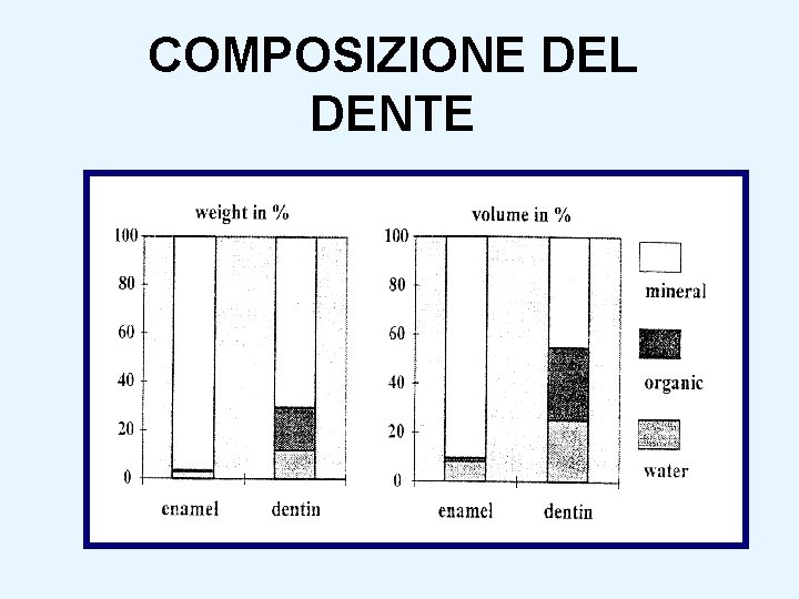 COMPOSIZIONE DEL DENTE 