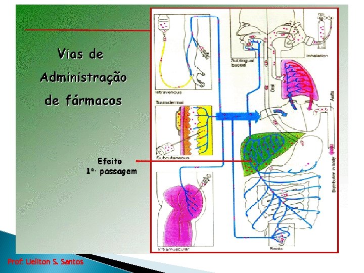 Prof: Ueliton S. Santos 